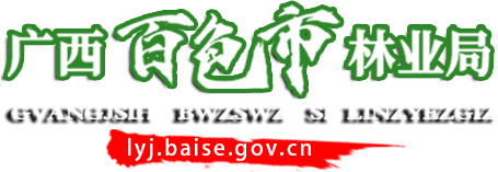 百色林业局